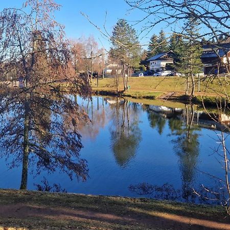 Ferienwohnung Panorama Schwarzwald Herrischried Екстер'єр фото